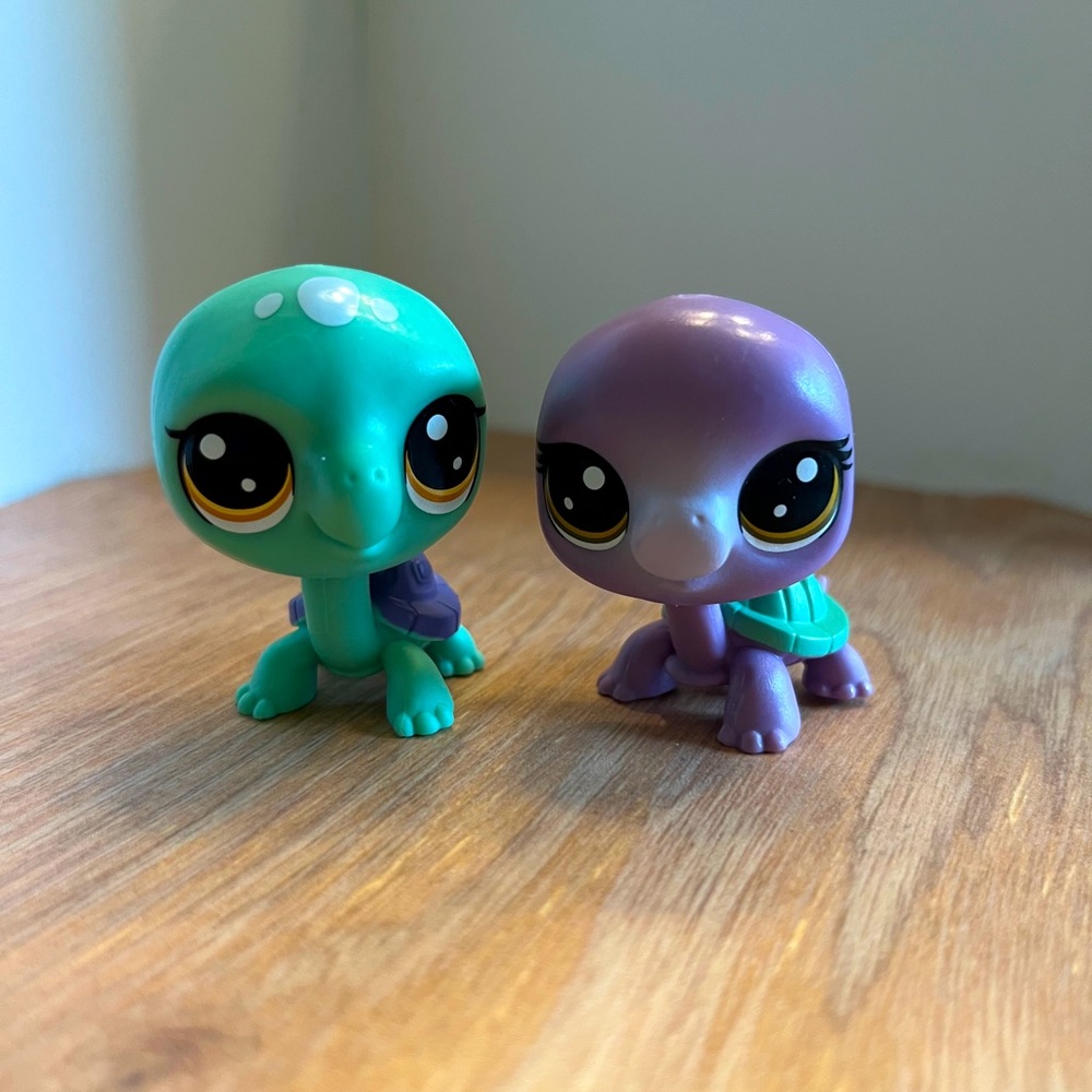 2pcs matching turtles